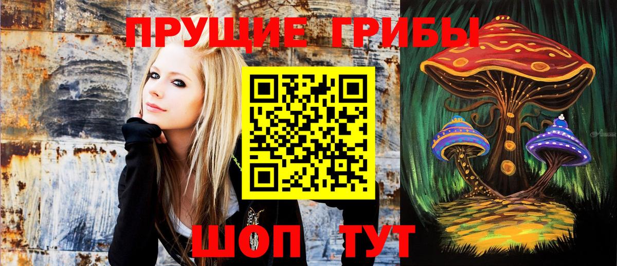 Галлюциногенные грибы мицелий  Псилоцибиновые грибы прущие грибы  Вход с VPN  Орск 