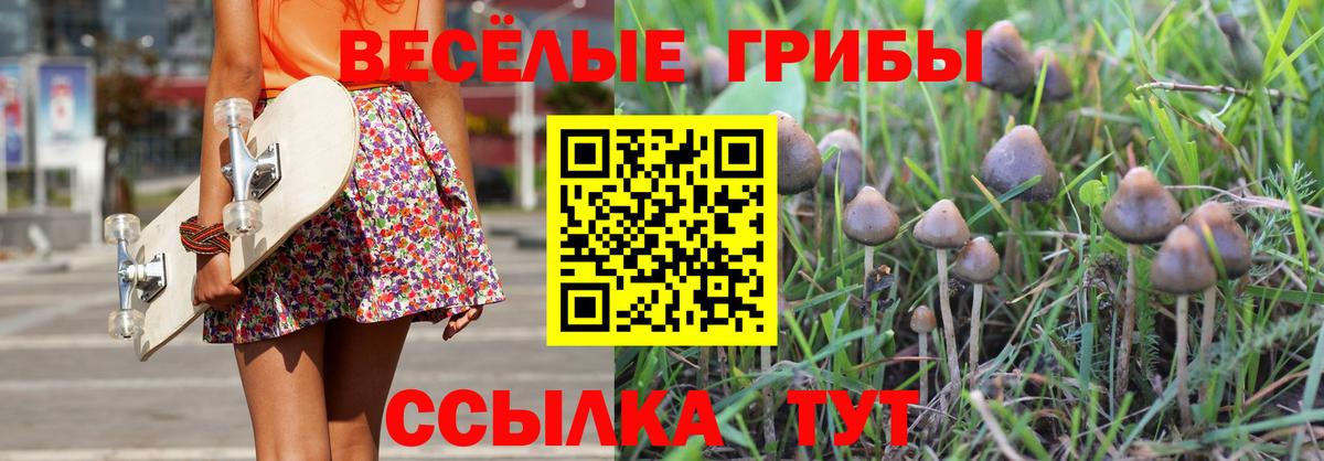Галлюциногенные грибы Cubensis Орск